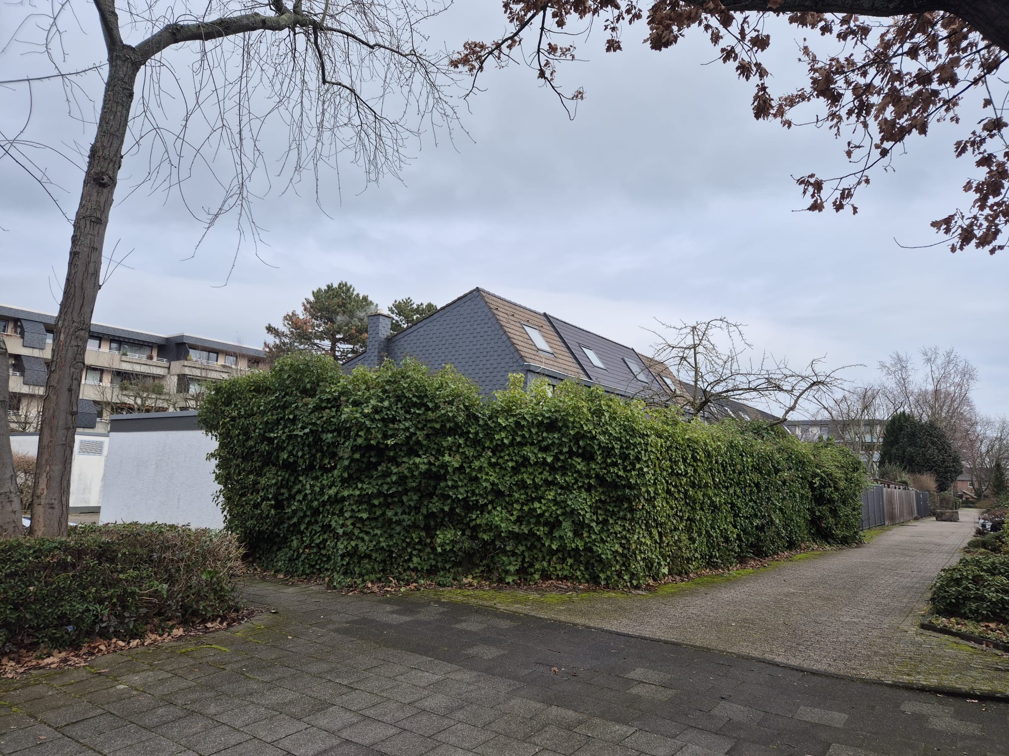 Vorher: Ungeschützter Garten in Wuppertal – offene Grundstücksgrenze Vorher: Offener Garten ohne Sichtschutz in Wuppertal – Wenig Privatsphäre vor dem Doppelstabmattenzaun-Projekt von Syla Gartenbau