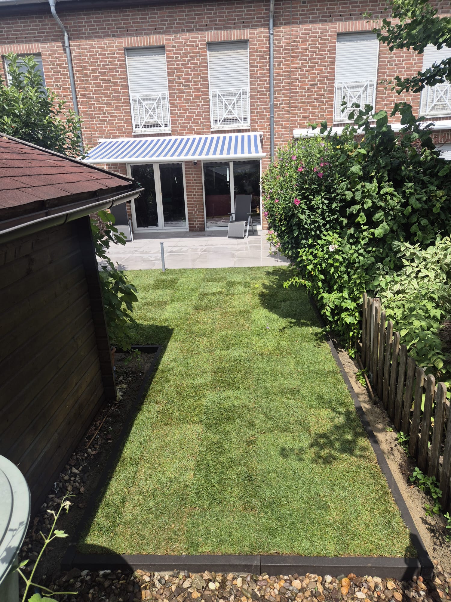 Nachher – Frischer Rollrasen vor der neuen Terrasse in Solingen Nachher: Frischer Rollrasen und neue Rasenfläche nach Gartenumbau und Terrassenbau in Solingen durch Syla Gartenbau
